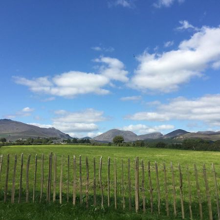 Willowtree Glamping Mournes Vila Annalong Exterior foto
