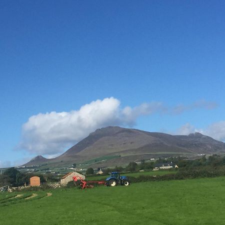 Willowtree Glamping Mournes Vila Annalong Exterior foto