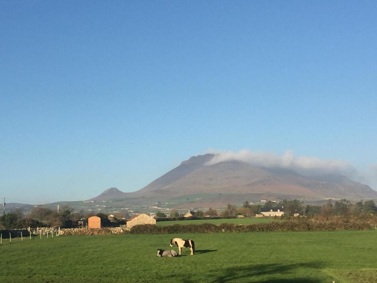 Willowtree Glamping Mournes Vila Annalong Exterior foto